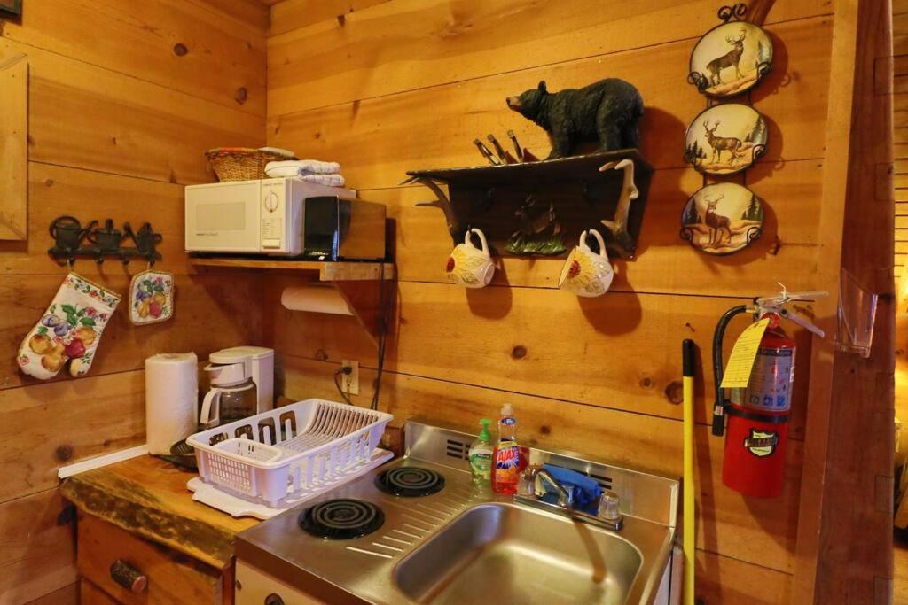 Cozy Cabin W/ Fireplace 3 Minutes To Helen! #2. Exterior photo